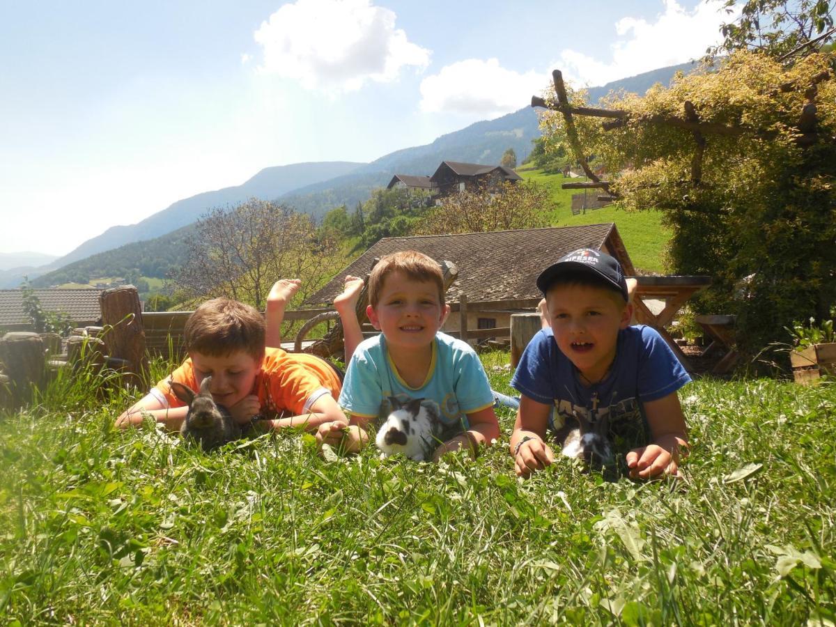 Schweiggerhof -Agriturismo- Farm Holidays Villandro Kültér fotó